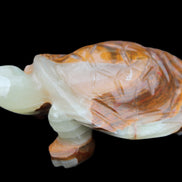 Afghan Jade hand-carved Turtle 107*80*37mm 286g in sunlight - Rocks and Things Store