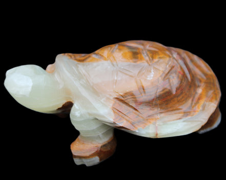 Afghan Jade hand-carved Turtle 107*80*37mm 286g in sunlight - Rocks and Things Store