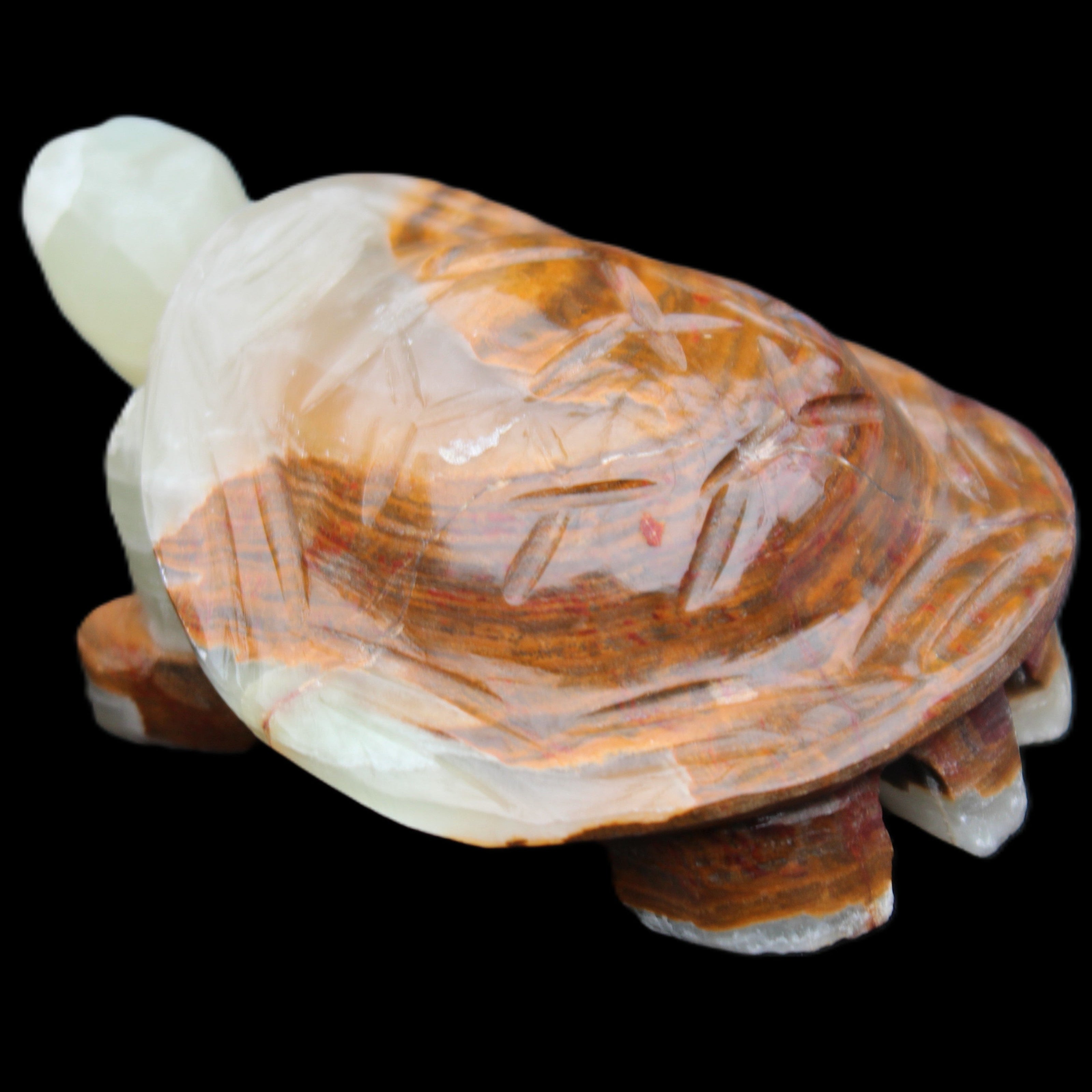 Afghan Jade hand-carved Turtle 107*80*37mm 286g in sunlight - Rocks and Things Store