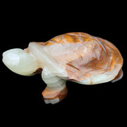 Afghan Jade hand-carved Turtle 107*80*37mm 286g in sunlight - Rocks and Things Store