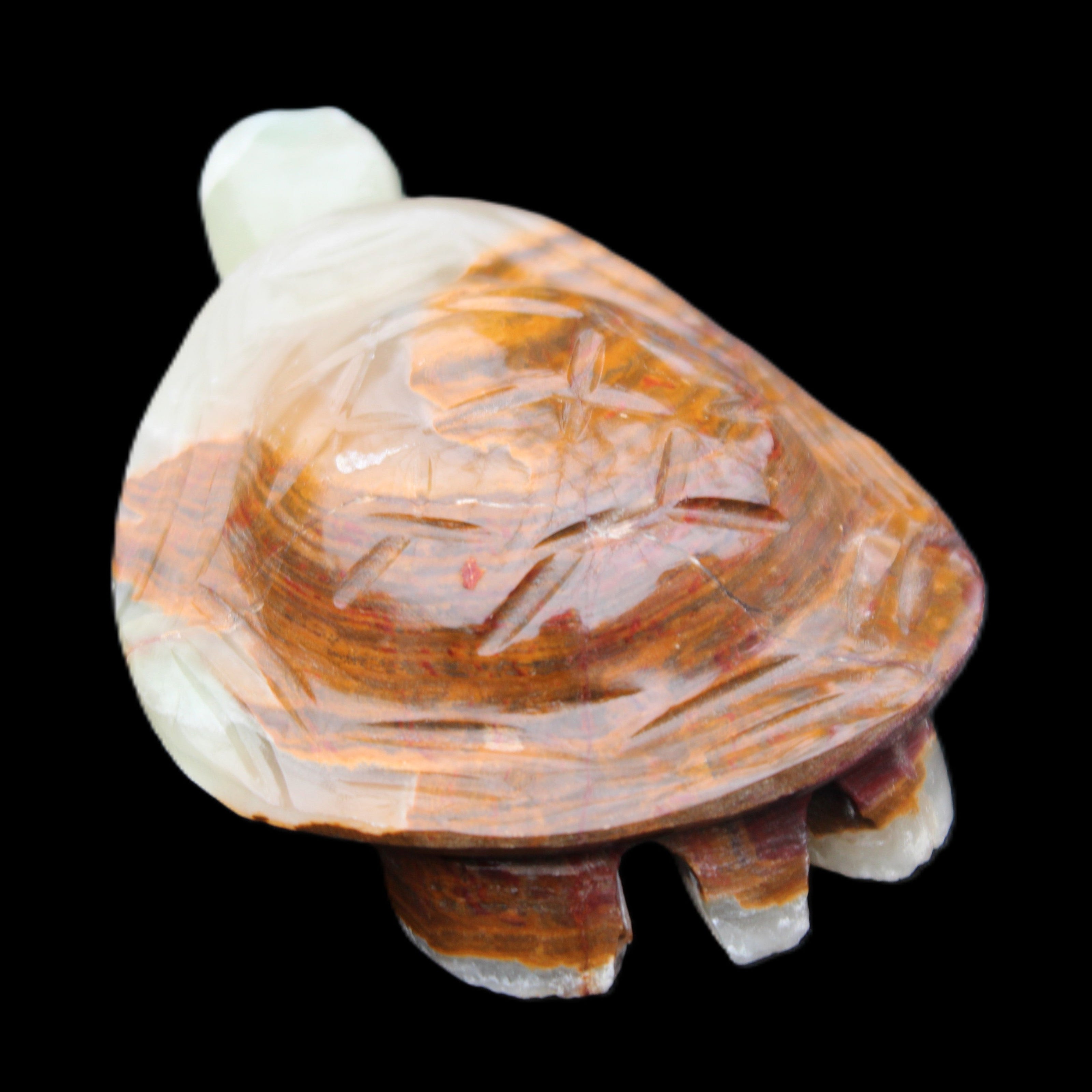 Afghan Jade hand-carved Turtle 107*80*37mm 286g in sunlight - Rocks and Things Store