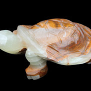 Afghan Jade hand-carved Turtle 107*80*37mm 286g in sunlight - Rocks and Things Store