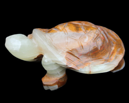 Afghan Jade hand-carved Turtle 107*80*37mm 286g in sunlight - Rocks and Things Store
