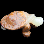 Afghan Jade hand-carved Turtle 107*80*37mm 286g in sunlight - Rocks and Things Store
