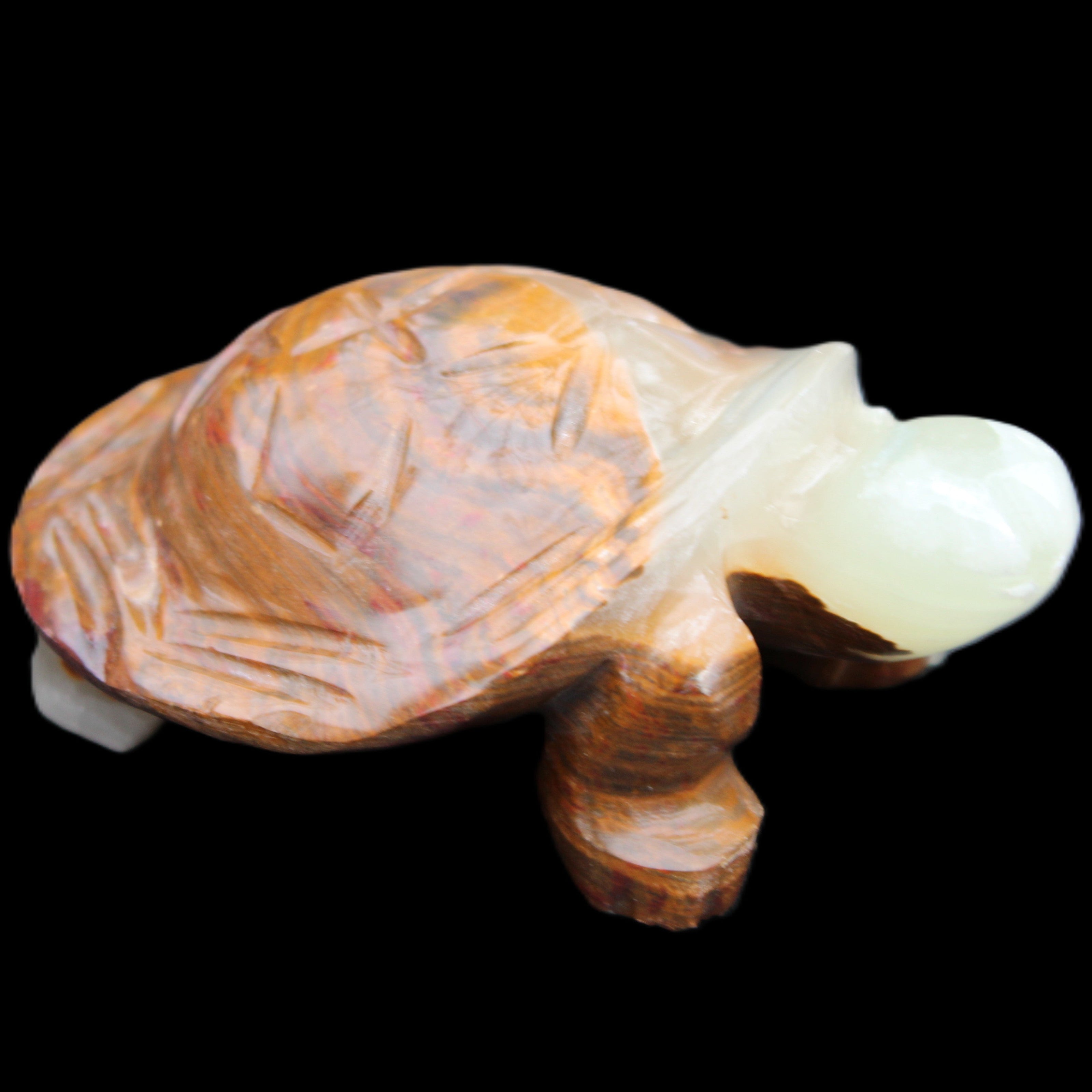 Afghan Jade hand-carved Turtle 107*80*37mm 286g in sunlight - Rocks and Things Store