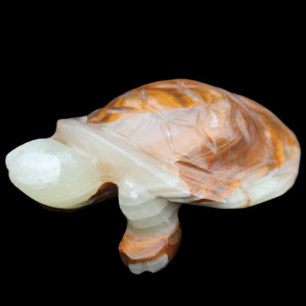 Afghan Jade hand-carved Turtle 107*80*37mm 286g in sunlight - Rocks and Things Store