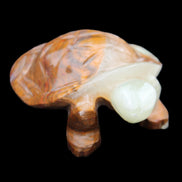 Afghan Jade hand-carved Turtle 107*80*37mm 286g in sunlight - Rocks and Things Store