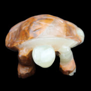 Afghan Jade hand-carved Turtle 107*80*37mm 286g in sunlight - Rocks and Things Store