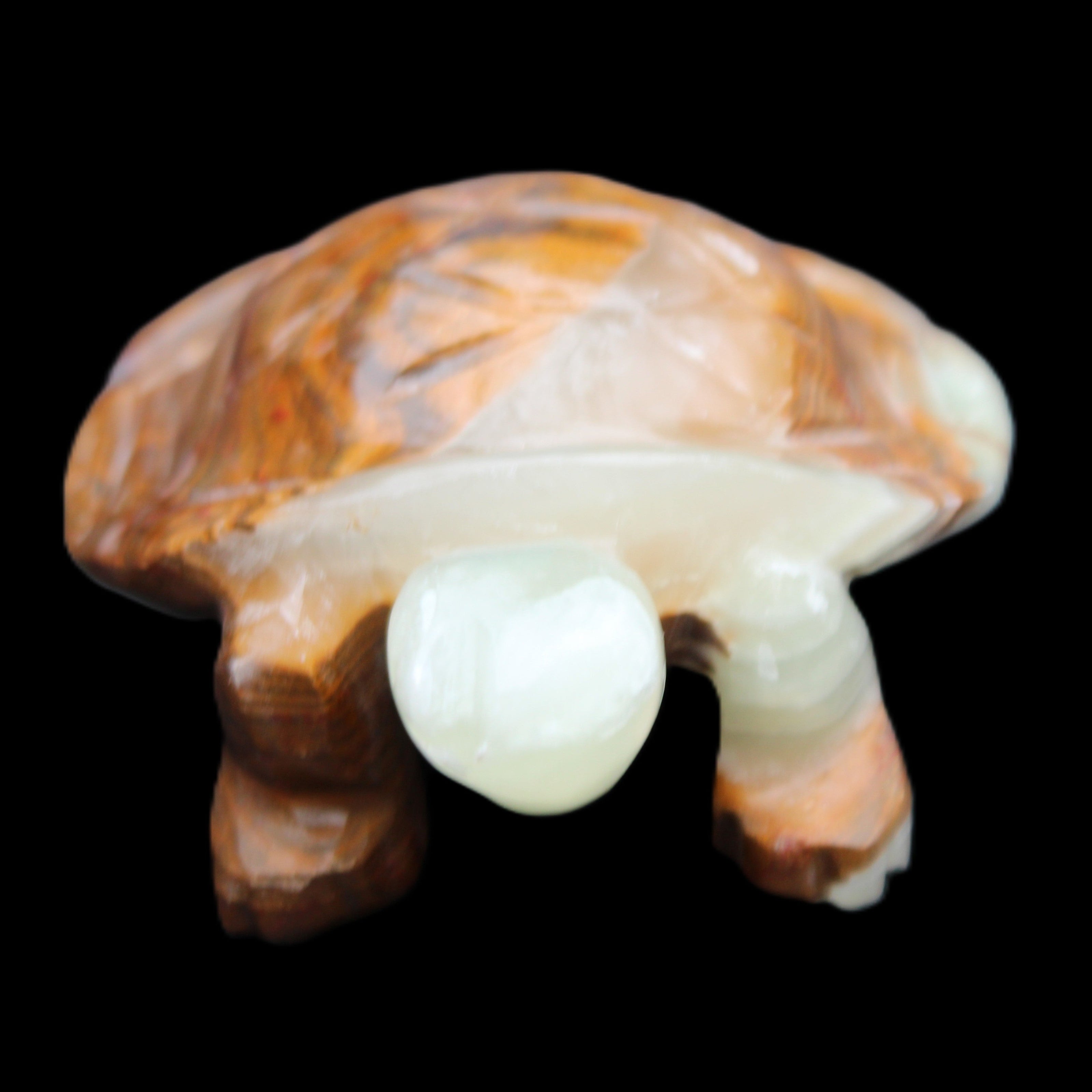 Afghan Jade hand-carved Turtle 107*80*37mm 286g in sunlight - Rocks and Things Store