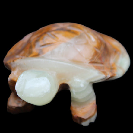 Afghan Jade hand-carved Turtle 107*80*37mm 286g in sunlight - Rocks and Things Store