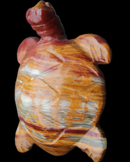 Afghan Jade hand-carved Turtle 100*72*35mm 270g in sunlight - Rocks and Things Store
