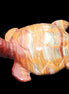 Afghan Jade hand-carved Turtle 100*72*35mm 270g in sunlight - Rocks and Things Store