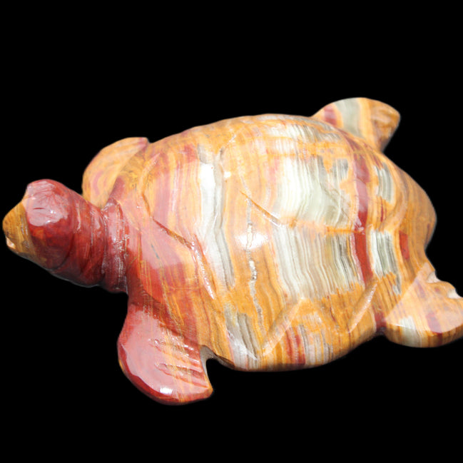 Afghan Jade hand-carved Turtle 100*72*35mm 270g in sunlight - Rocks and Things Store