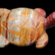 Afghan Jade hand-carved Turtle 100*72*35mm 270g in sunlight - Rocks and Things Store