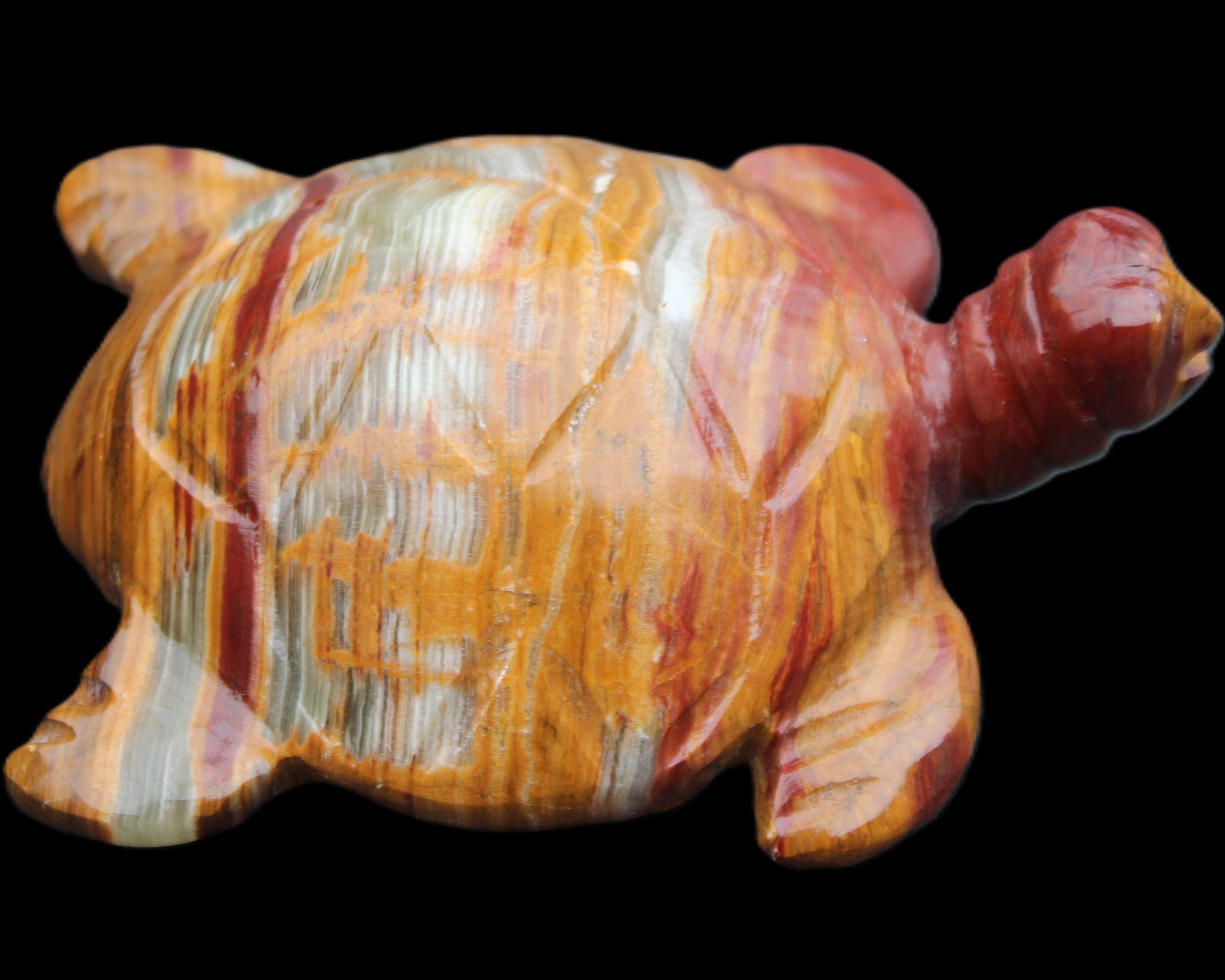 Afghan Jade hand-carved Turtle 100*72*35mm 270g in sunlight - Rocks and Things Store