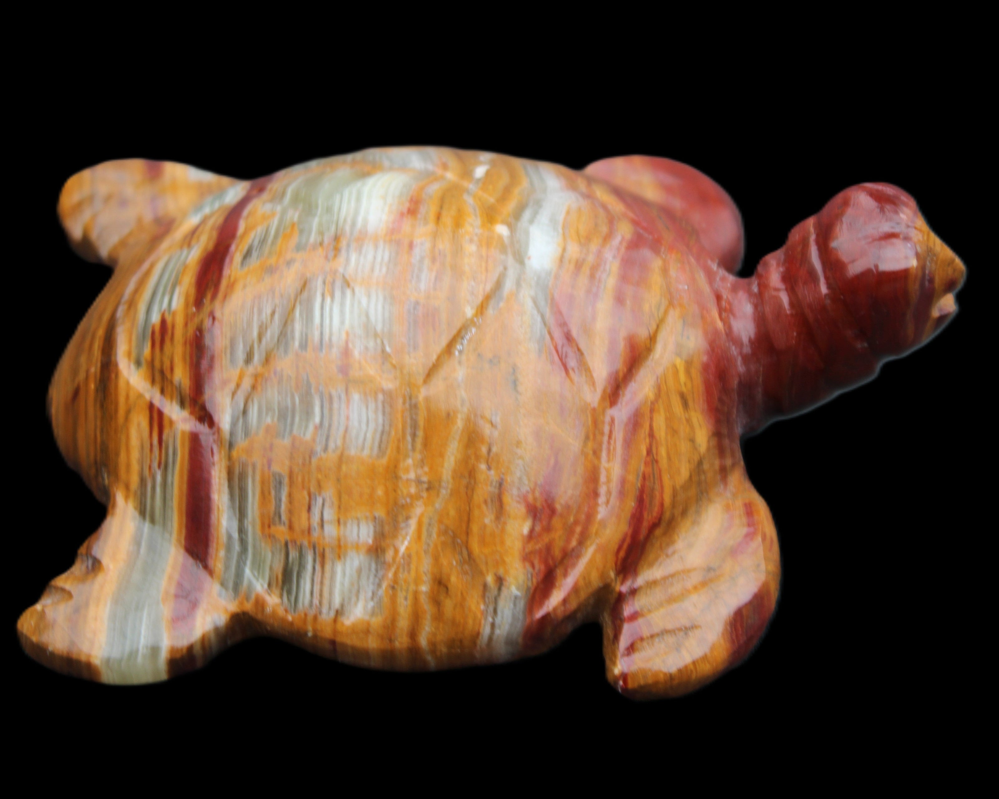 Afghan Jade hand-carved Turtle 100*72*35mm 270g in sunlight - Rocks and Things Store