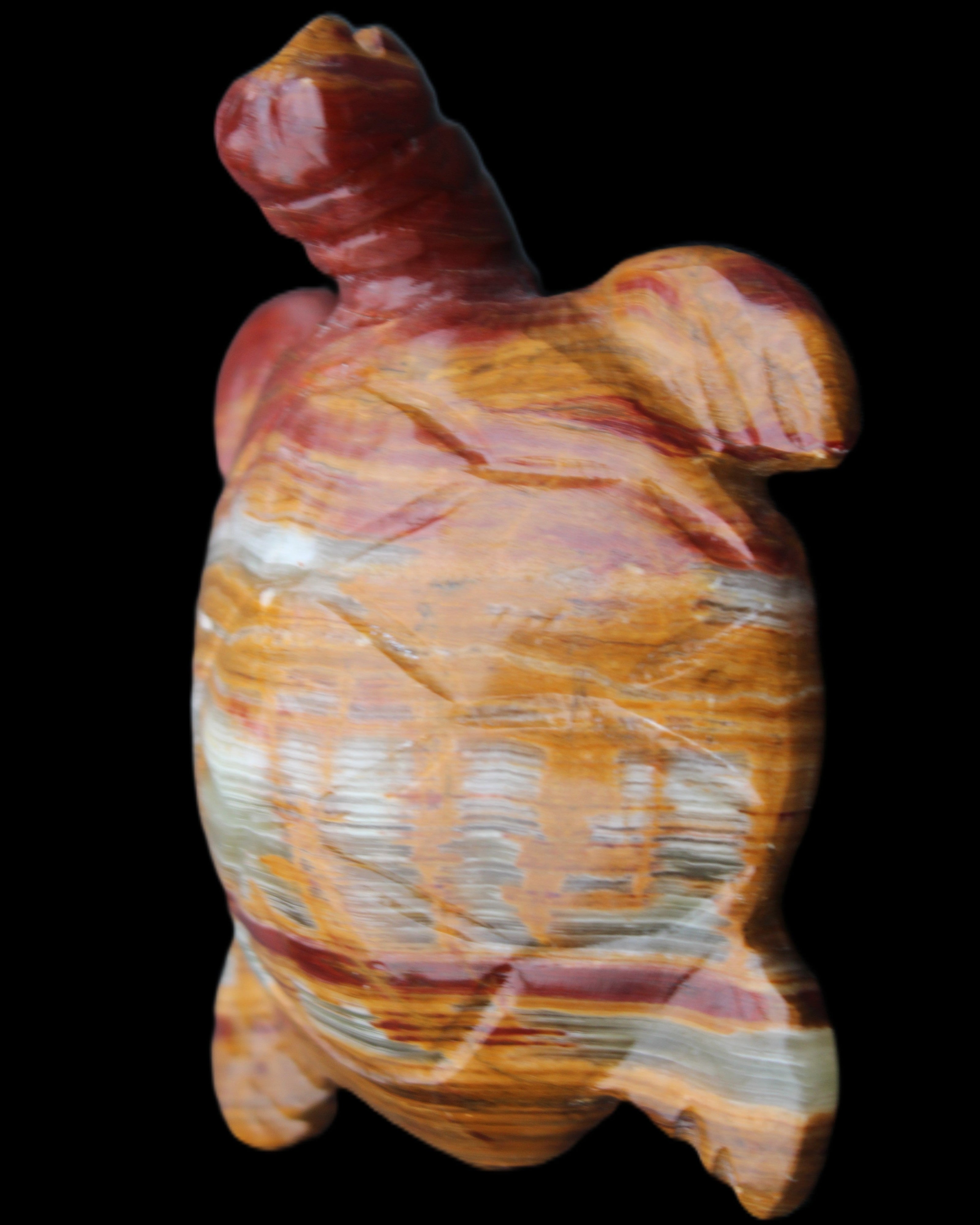 Afghan Jade hand-carved Turtle 100*72*35mm 270g in sunlight - Rocks and Things Store
