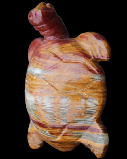 Afghan Jade hand-carved Turtle 100*72*35mm 270g in sunlight - Rocks and Things Store