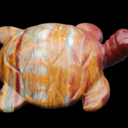 Afghan Jade hand-carved Turtle 100*72*35mm 270g in sunlight - Rocks and Things Store