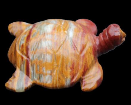 Afghan Jade hand-carved Turtle 100*72*35mm 270g in sunlight - Rocks and Things Store