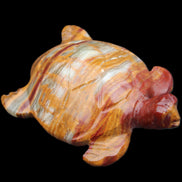 Afghan Jade hand-carved Turtle 100*72*35mm 270g in sunlight - Rocks and Things Store
