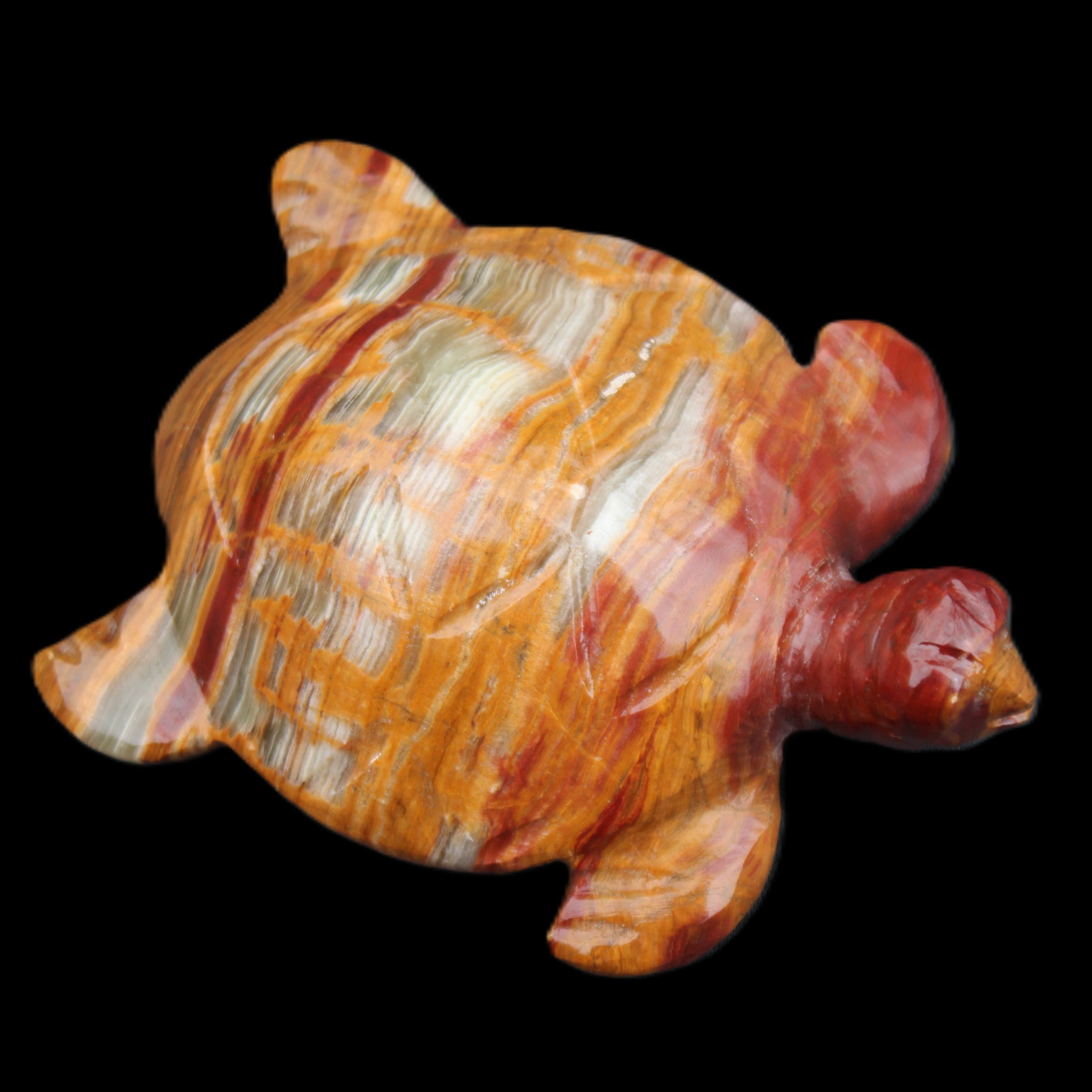 Afghan Jade hand-carved Turtle 100*72*35mm 270g in sunlight - Rocks and Things Store