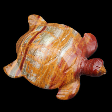 Afghan Jade hand-carved Turtle 100*72*35mm 270g in sunlight - Rocks and Things Store
