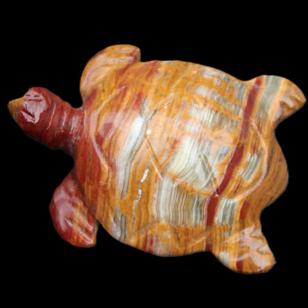 Afghan Jade hand-carved Turtle 100*72*35mm 270g in sunlight - Rocks and Things Store
