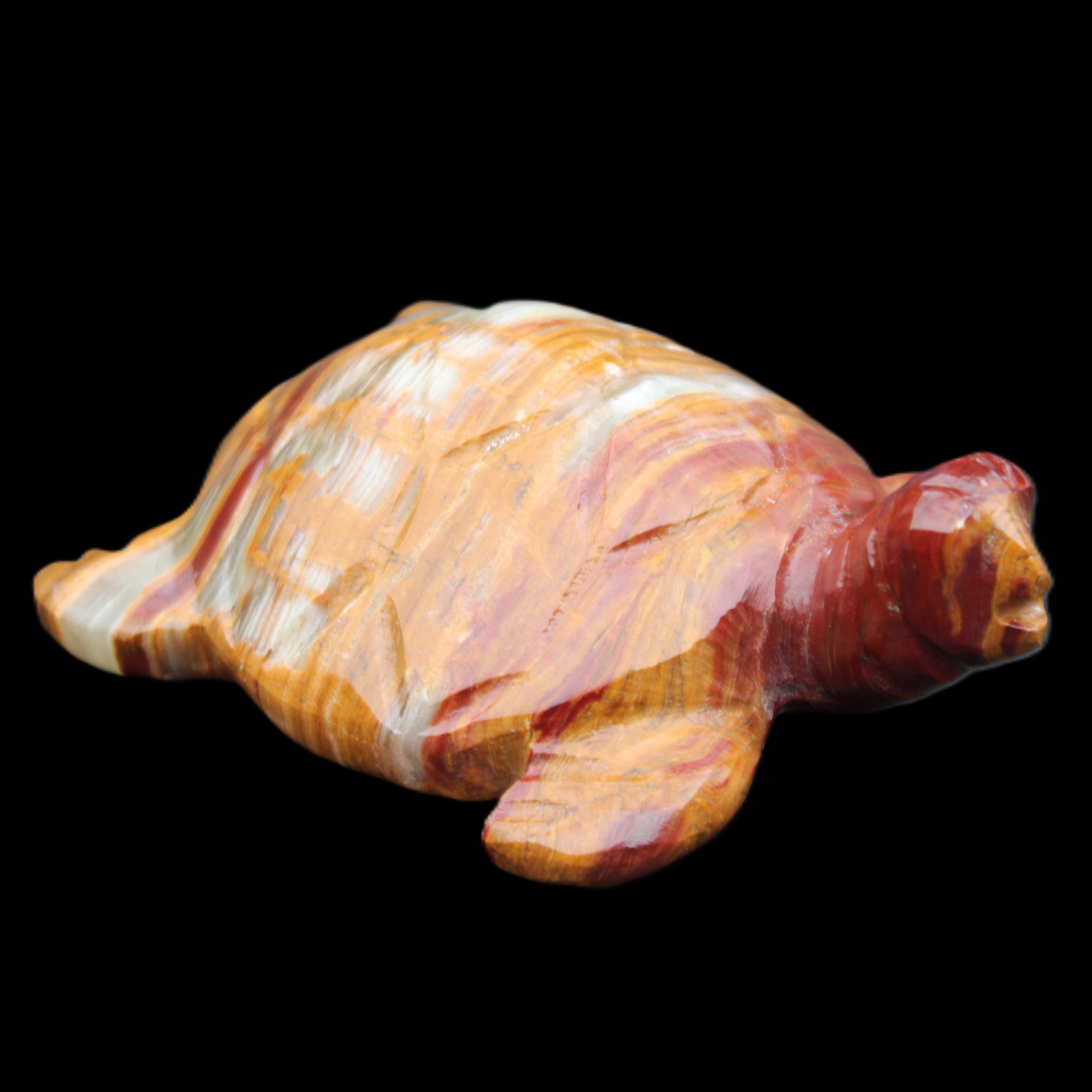 Afghan Jade hand-carved Turtle 100*72*35mm 270g in sunlight - Rocks and Things Store