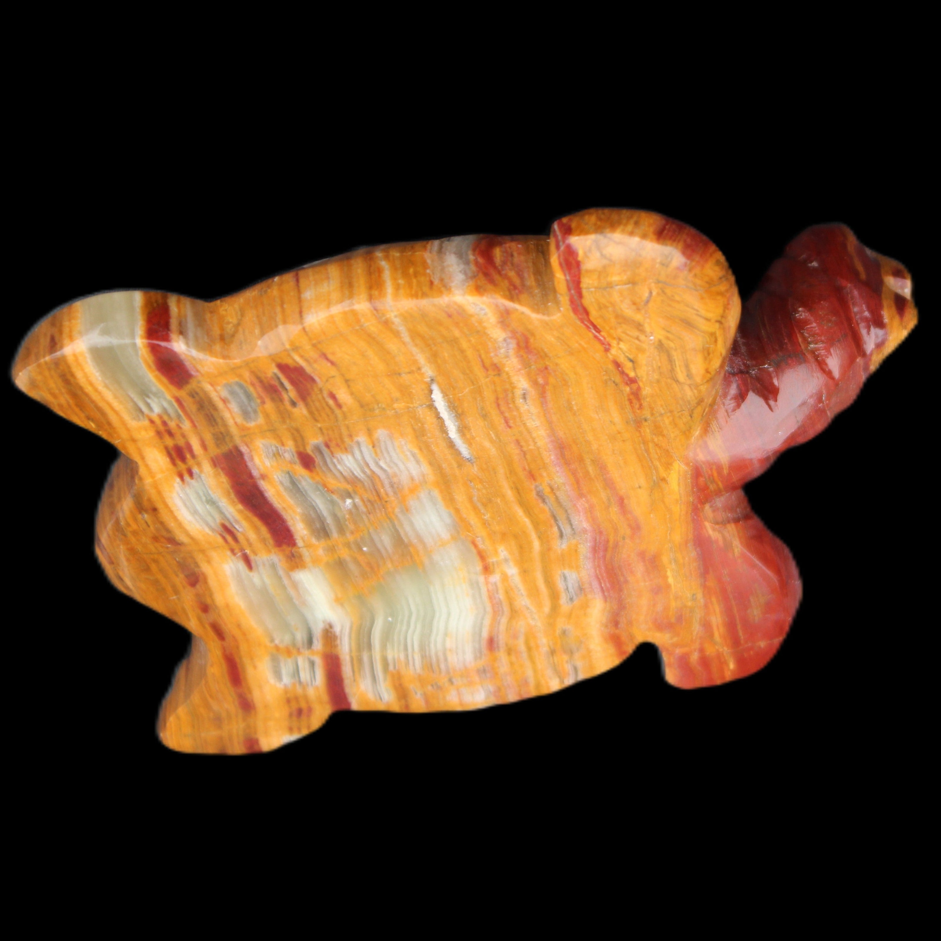Afghan Jade hand-carved Turtle 100*72*35mm 270g in sunlight - Rocks and Things Store