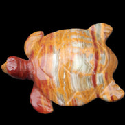 Afghan Jade hand-carved Turtle 100*72*35mm 270g in sunlight - Rocks and Things Store