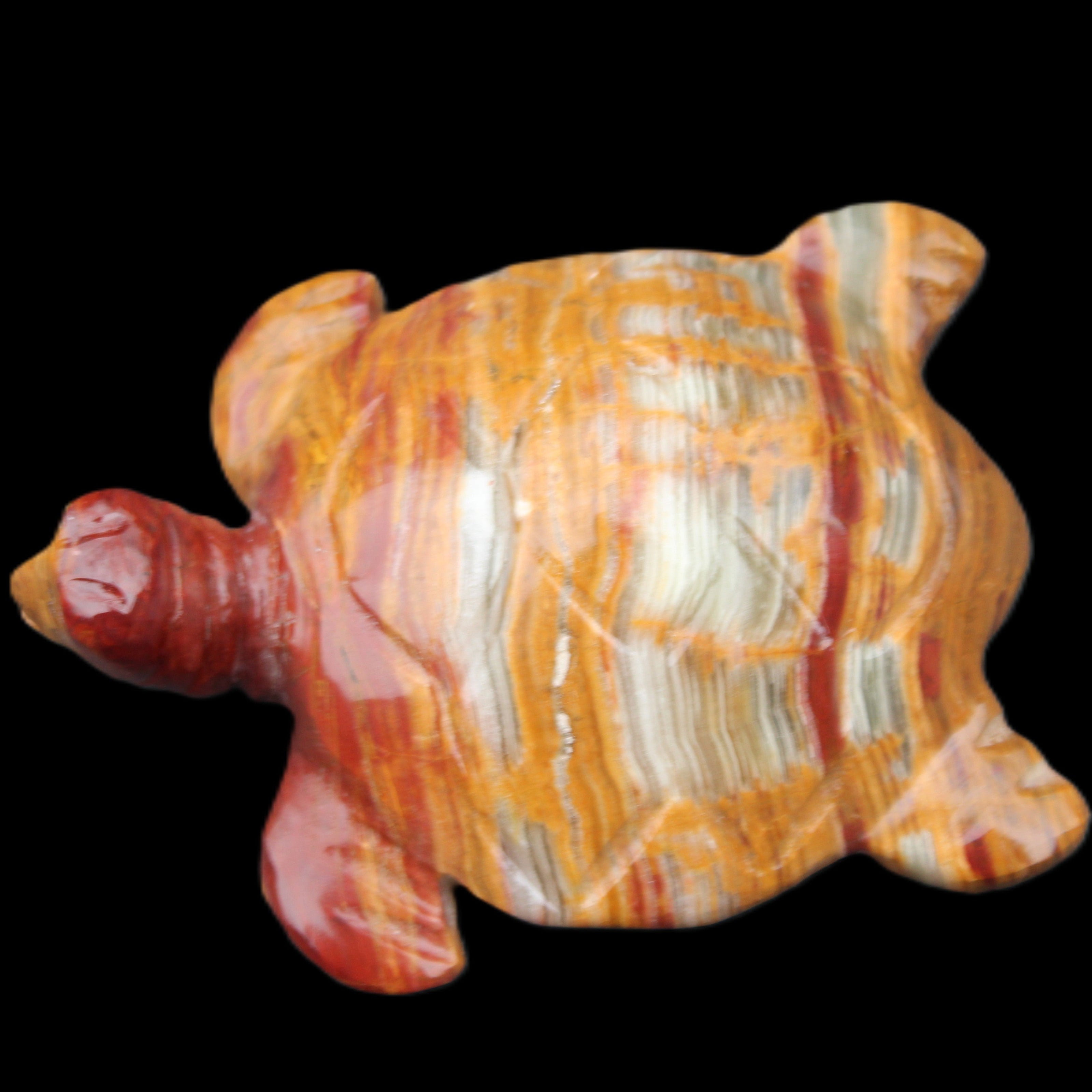 Afghan Jade hand-carved Turtle 100*72*35mm 270g in sunlight - Rocks and Things Store