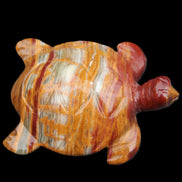 Afghan Jade hand-carved Turtle 100*72*35mm 270g in sunlight - Rocks and Things Store