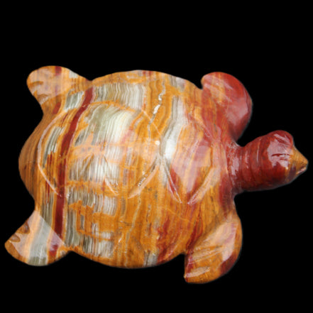 Afghan Jade hand-carved Turtle 100*72*35mm 270g in sunlight - Rocks and Things Store