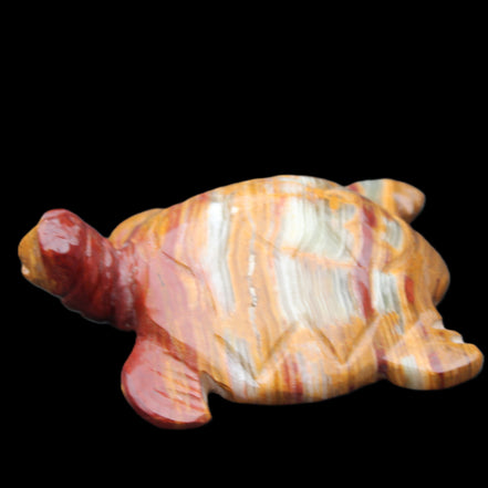 Afghan Jade hand-carved Turtle 100*72*35mm 270g in sunlight - Rocks and Things Store