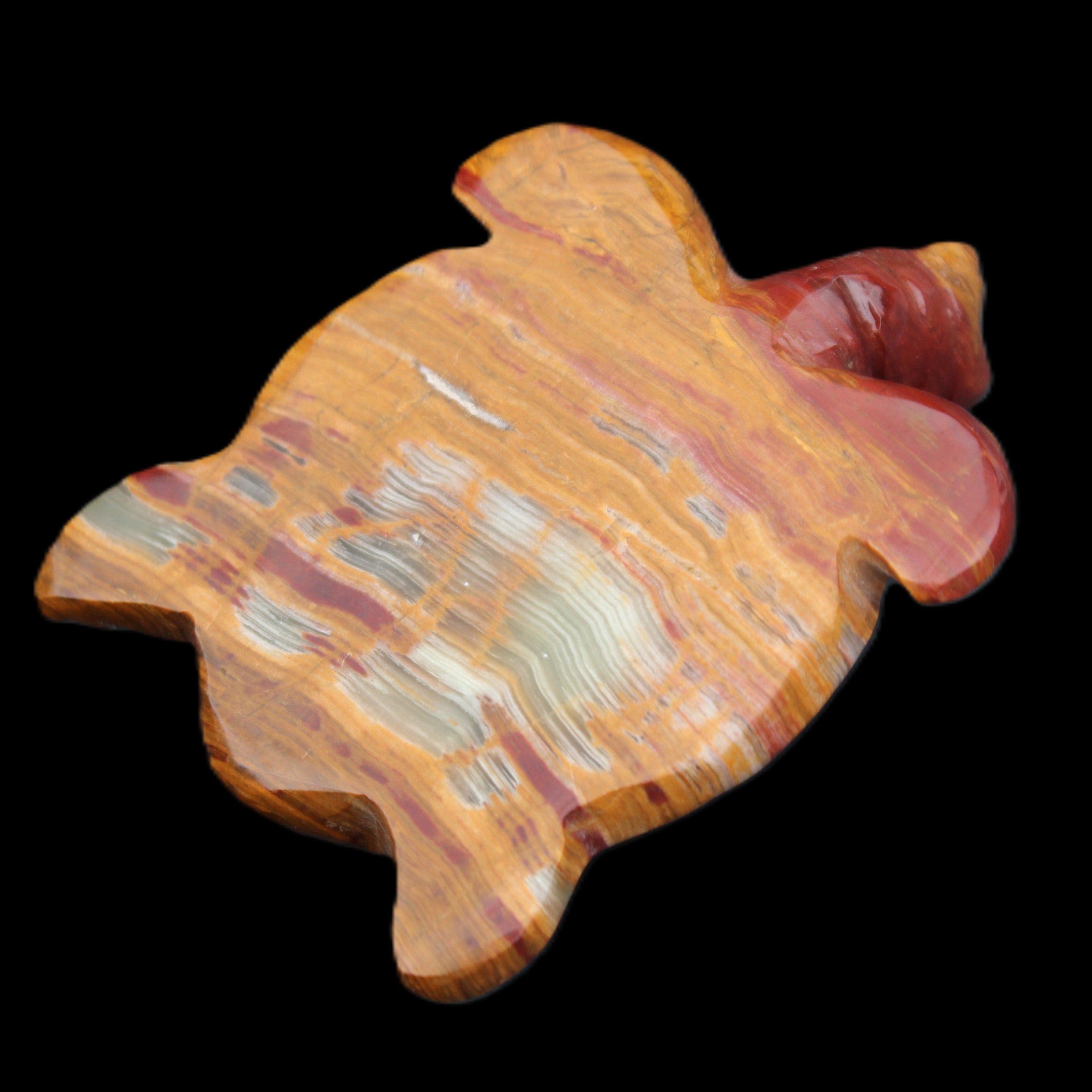 Afghan Jade hand-carved Turtle 100*72*35mm 270g in sunlight - Rocks and Things Store