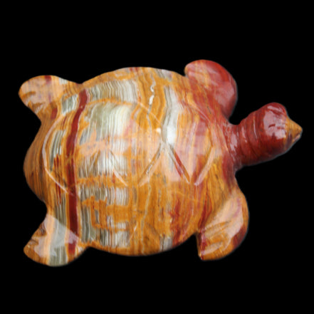 Afghan Jade hand-carved Turtle 100*72*35mm 270g in sunlight - Rocks and Things Store