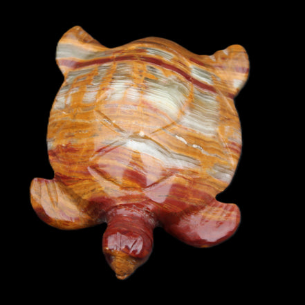 Afghan Jade hand-carved Turtle 100*72*35mm 270g in sunlight - Rocks and Things Store