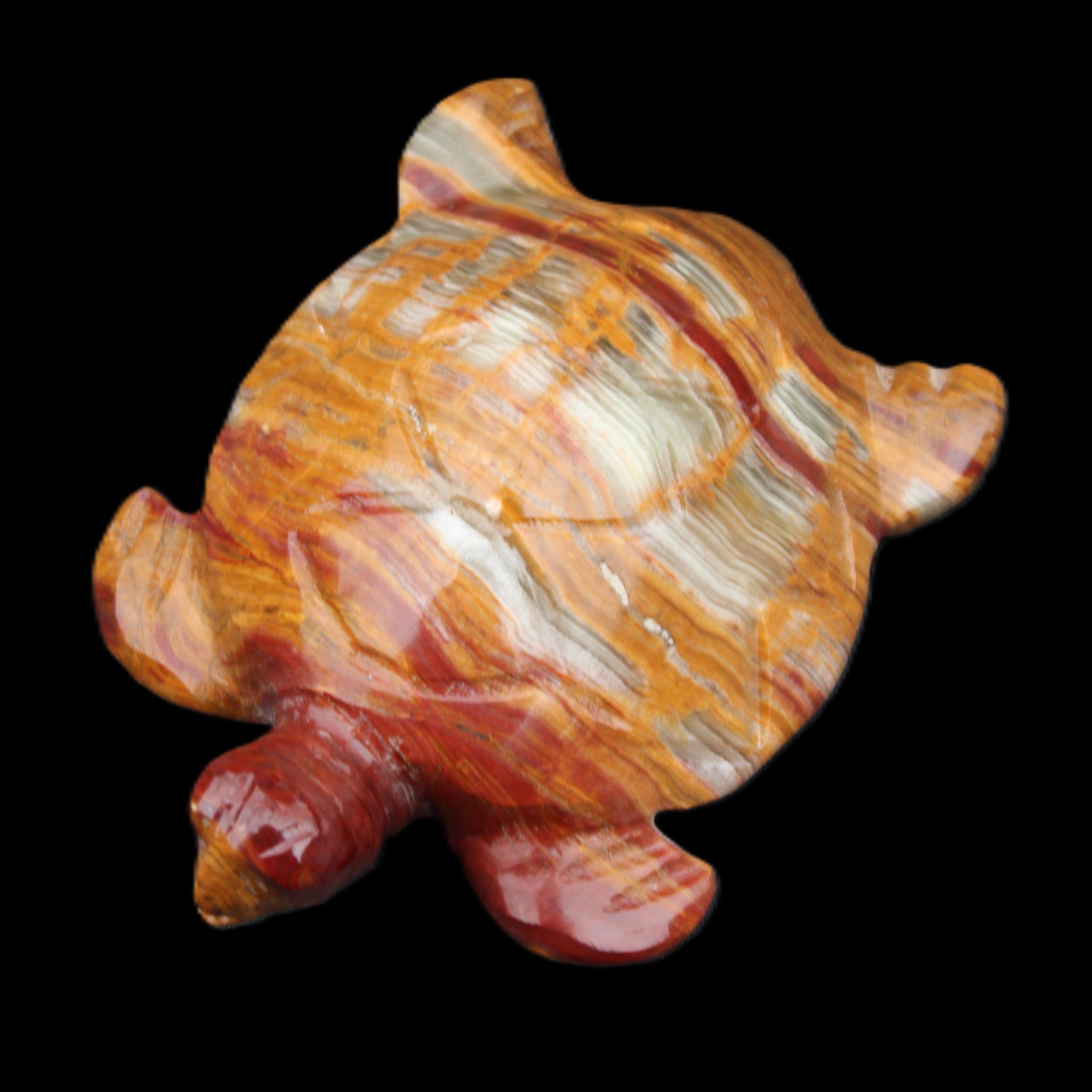 Afghan Jade hand-carved Turtle 100*72*35mm 270g in sunlight - Rocks and Things Store