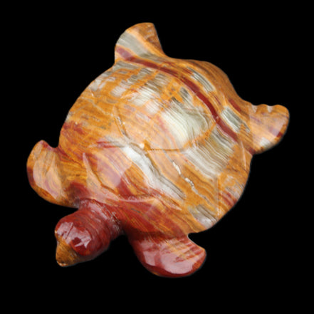 Afghan Jade hand-carved Turtle 100*72*35mm 270g in sunlight - Rocks and Things Store