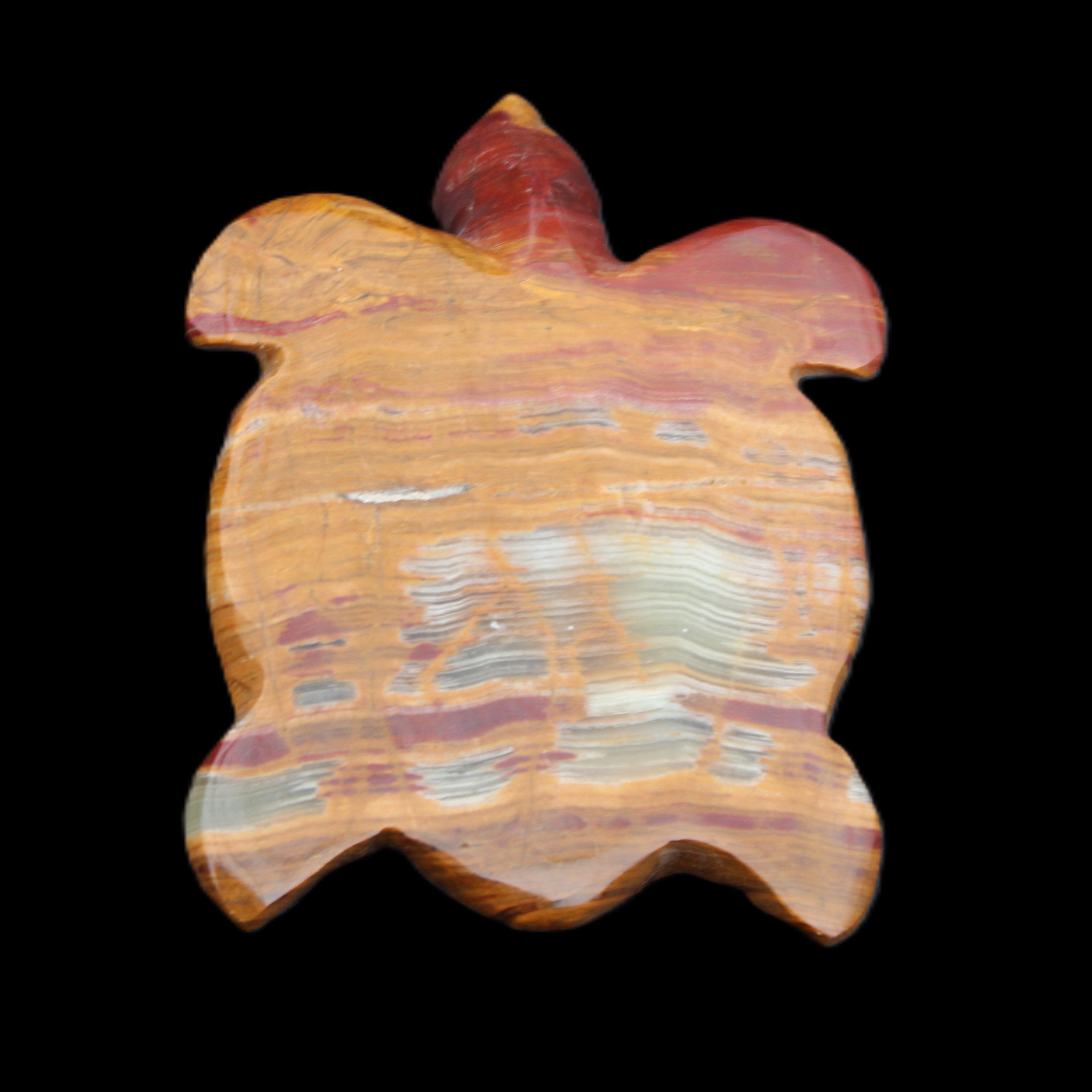 Afghan Jade hand-carved Turtle 100*72*35mm 270g in sunlight - Rocks and Things Store