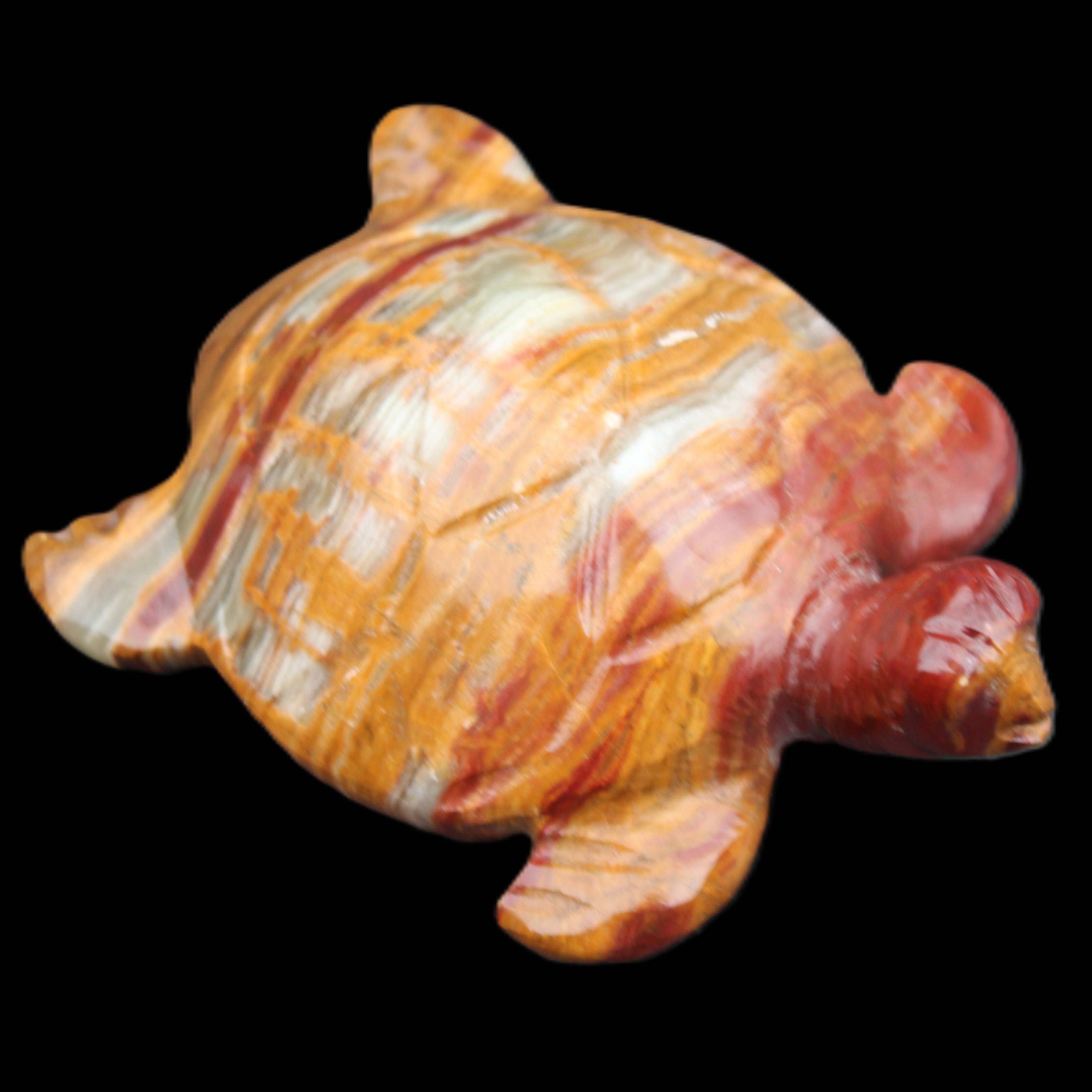 Afghan Jade hand-carved Turtle 100*72*35mm 270g in sunlight - Rocks and Things Store