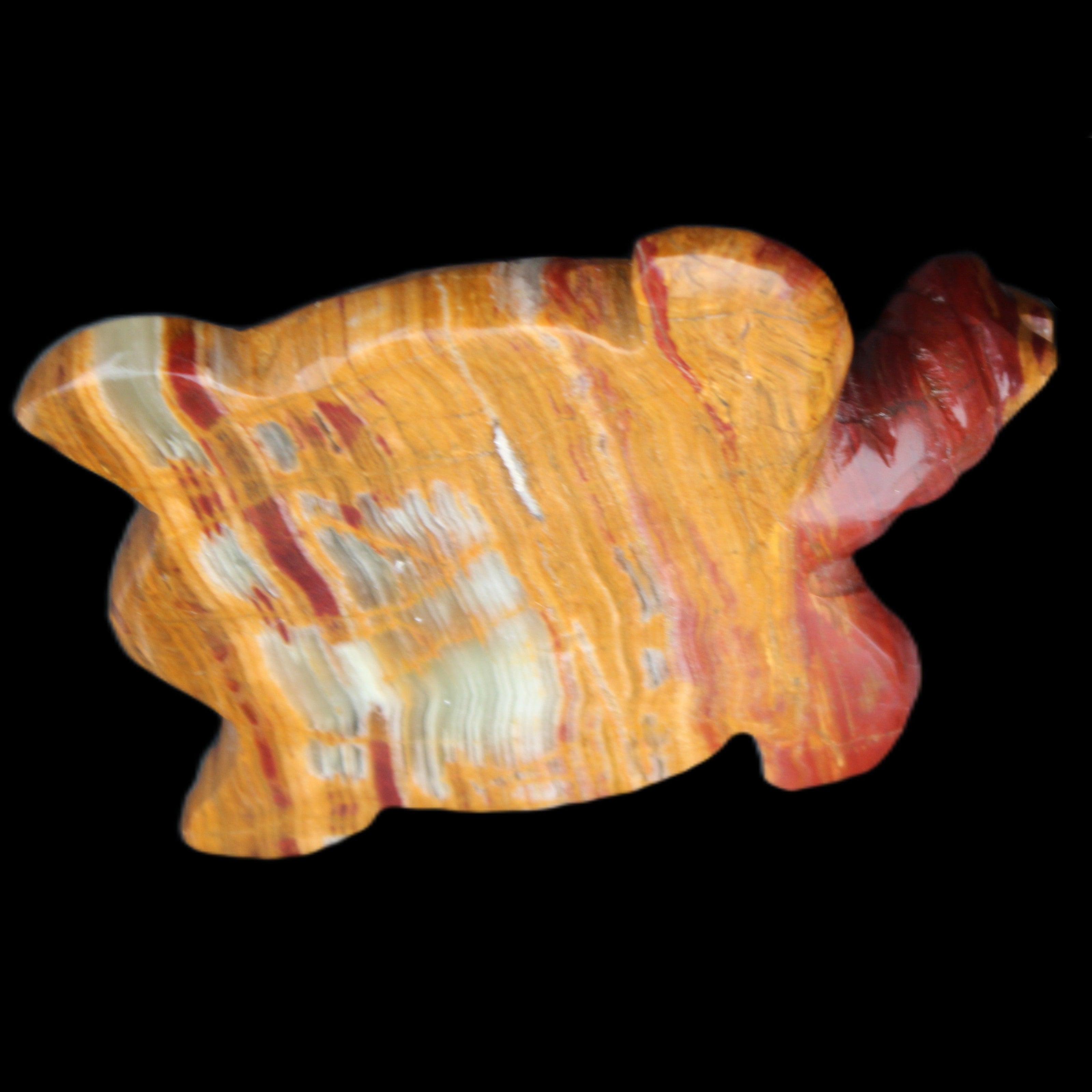 Afghan Jade hand-carved Turtle 100*72*35mm 270g in sunlight - Rocks and Things Store