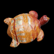 Afghan Jade hand-carved Turtle 100*72*35mm 270g in sunlight - Rocks and Things Store