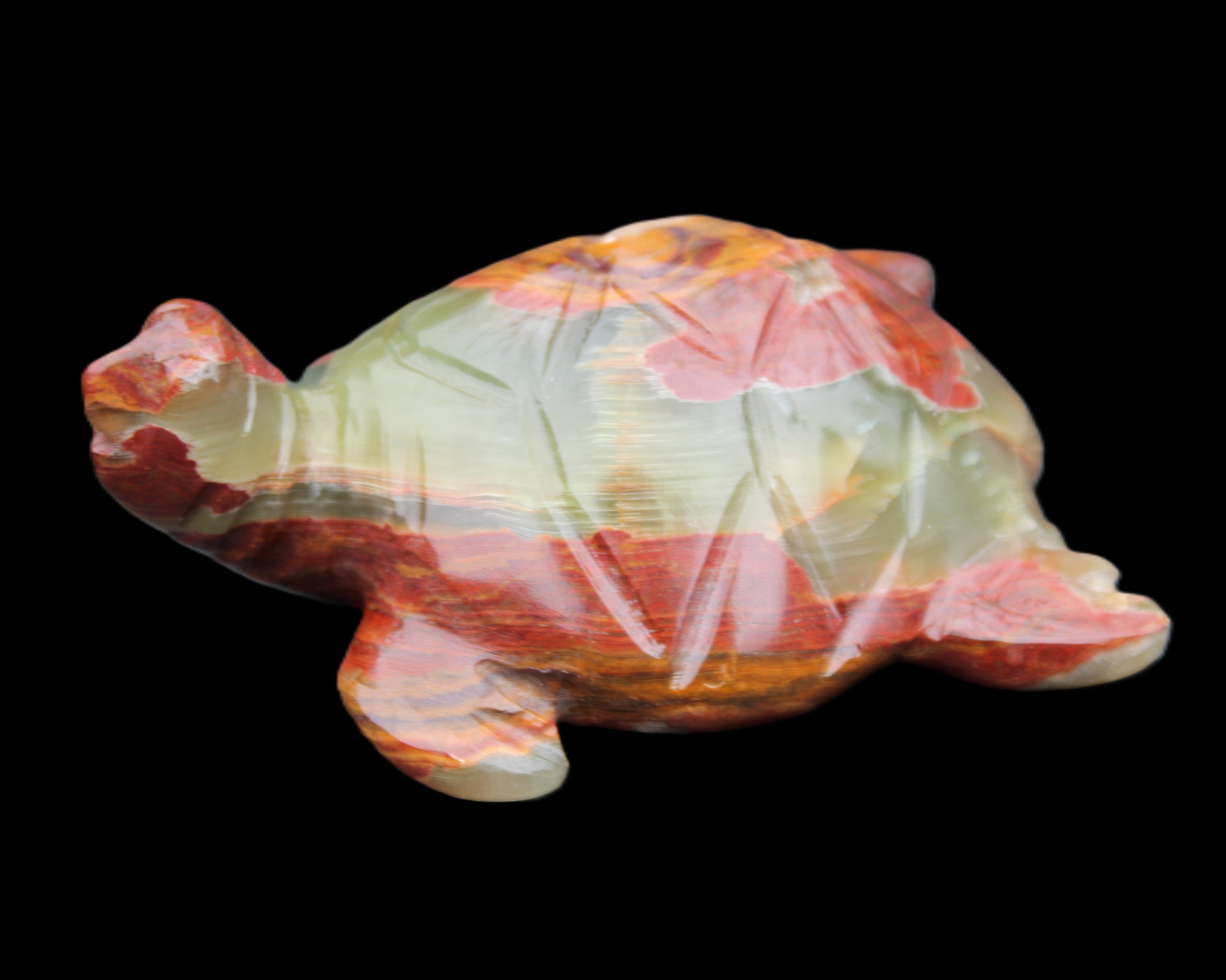 Afghan Jade hand-carved Turtle 99*76*38mm 319g in sunlight - Rocks and Things Store