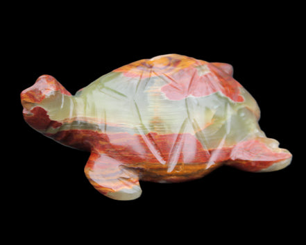Afghan Jade hand-carved Turtle 99*76*38mm 319g in sunlight - Rocks and Things Store