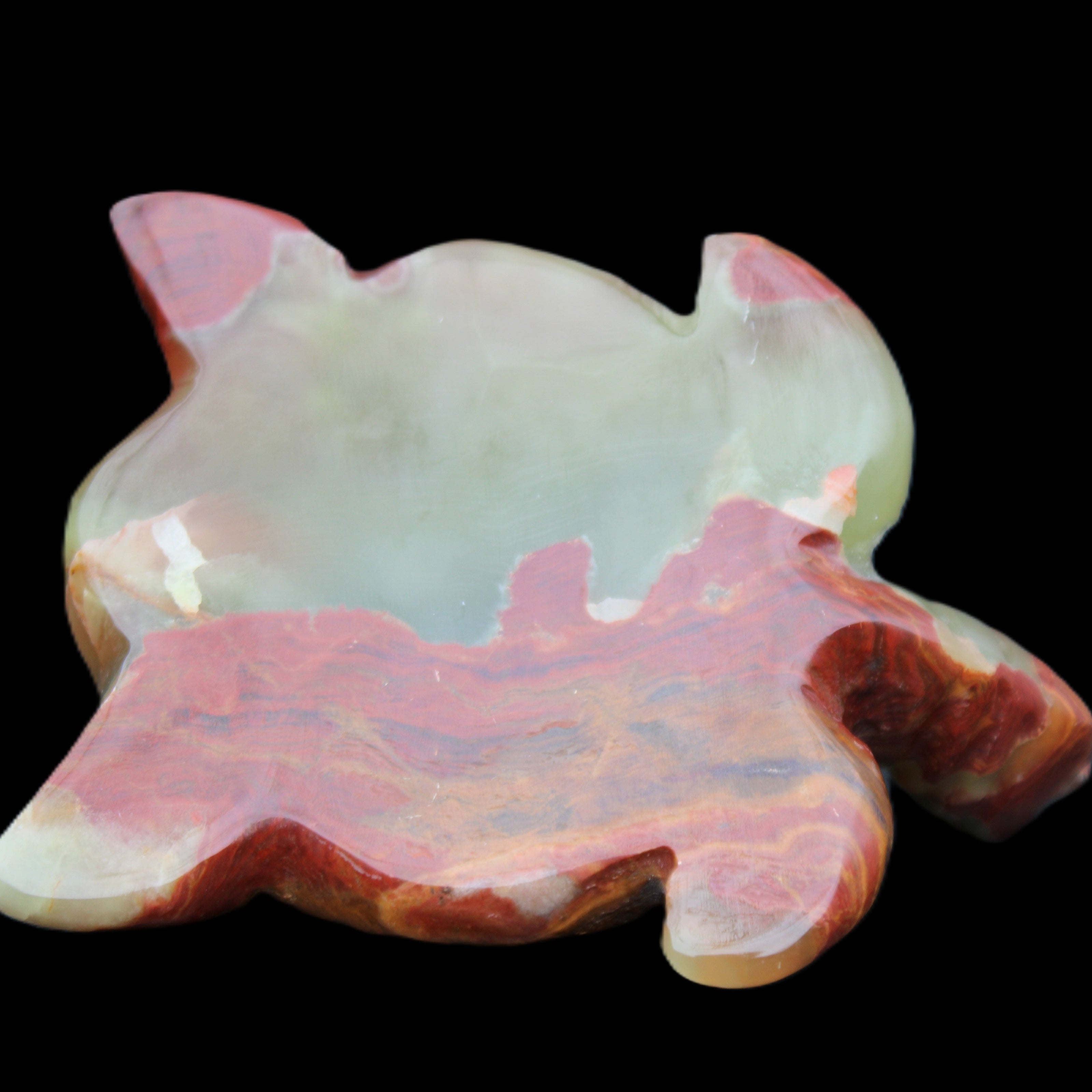 Afghan Jade hand-carved Turtle 99*76*38mm 319g in sunlight - Rocks and Things Store