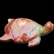 Afghan Jade hand-carved Turtle 99*76*38mm 319g in sunlight - Rocks and Things Store