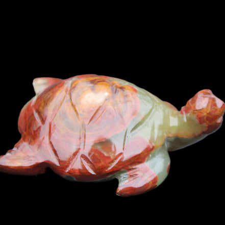Afghan Jade hand-carved Turtle 99*76*38mm 319g in sunlight - Rocks and Things Store