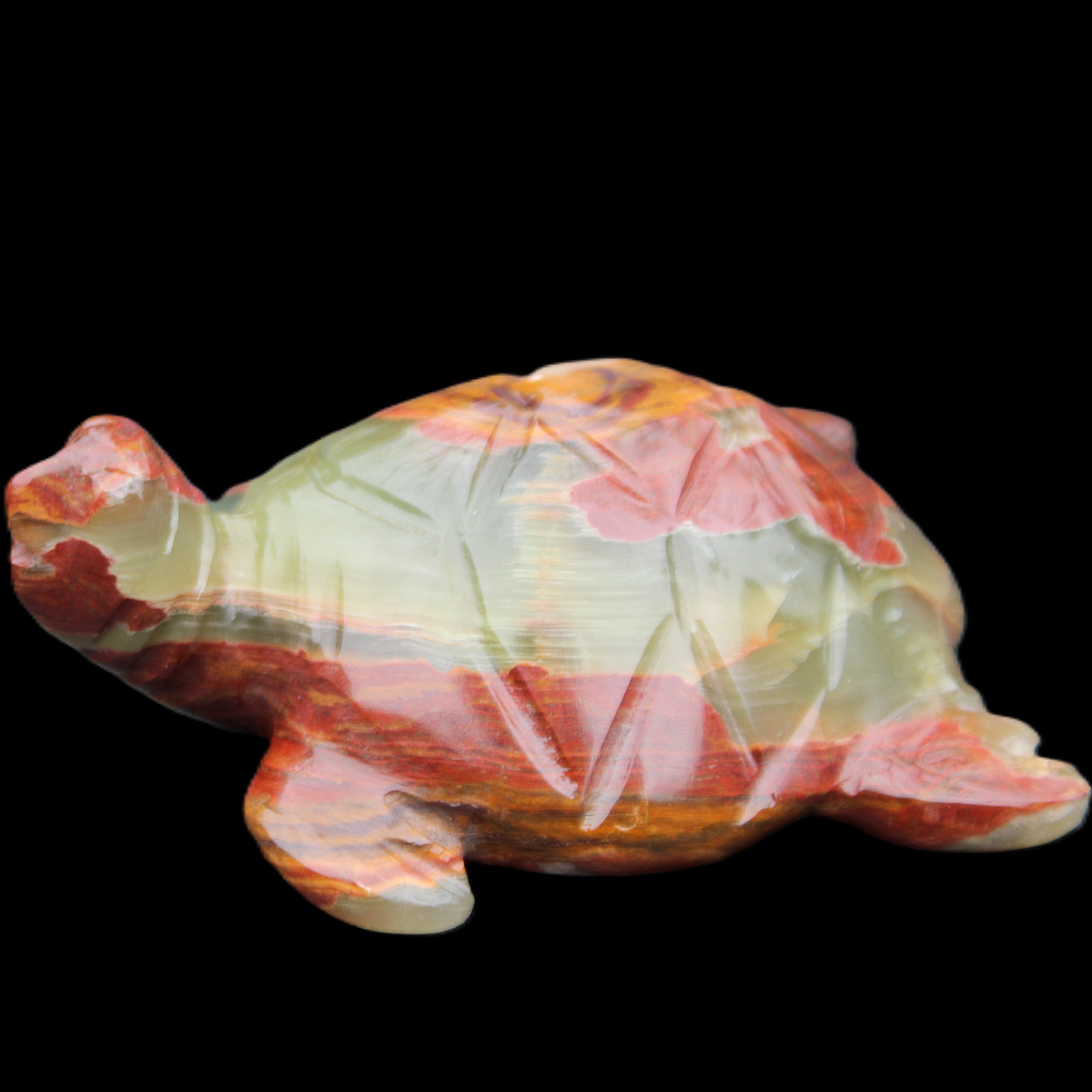 Afghan Jade hand-carved Turtle 99*76*38mm 319g in sunlight - Rocks and Things Store